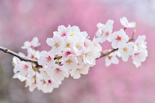Lorem ipsum dolor sit amet, consetetur