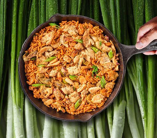 chicken and rice dish with slivers of green onions